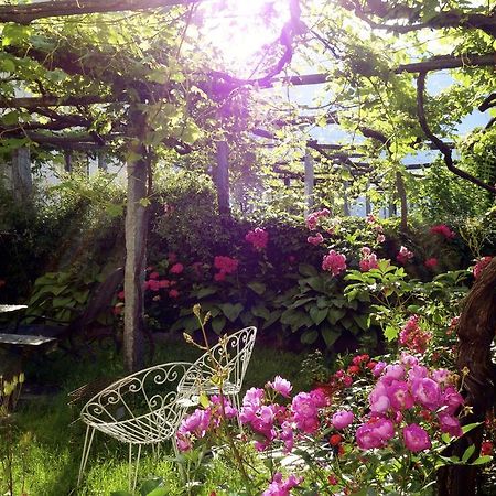 Bed & Breakfast Uvablu Trontano Eksteriør bilde
