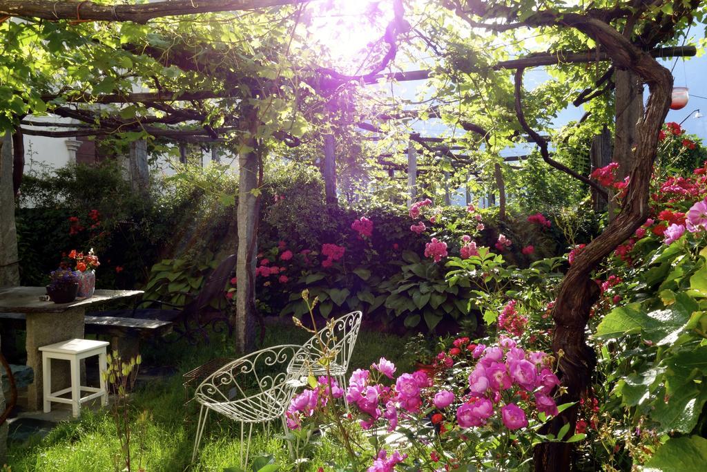 Bed & Breakfast Uvablu Trontano Eksteriør bilde