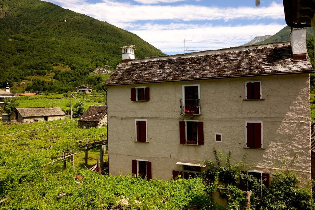 Bed & Breakfast Uvablu Trontano Eksteriør bilde