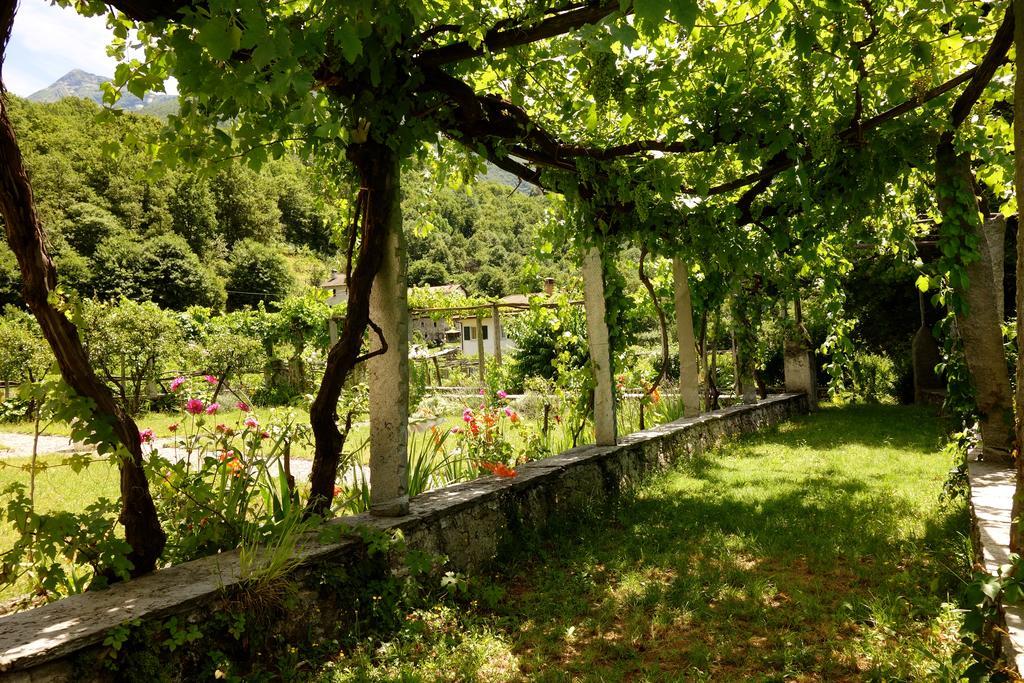 Bed & Breakfast Uvablu Trontano Eksteriør bilde